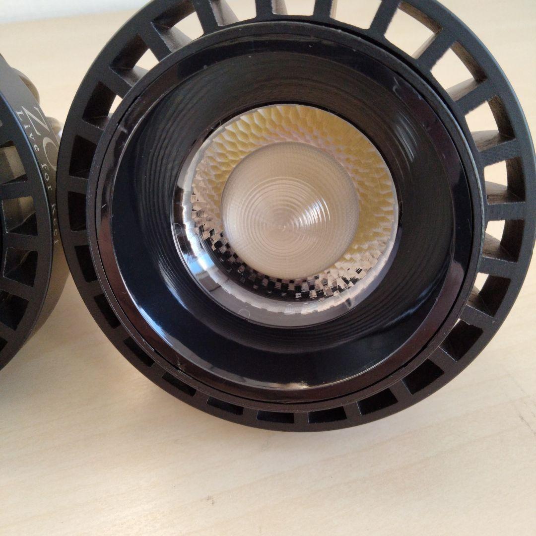 ZOOX LED RAYS Shallow Reef×2　レディオクリップS×1