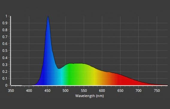 ZOOX LED RAYS Shallow Reef×2　レディオクリップS×1