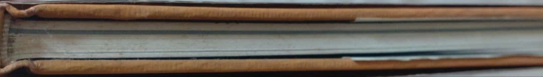 テイク・アイビー