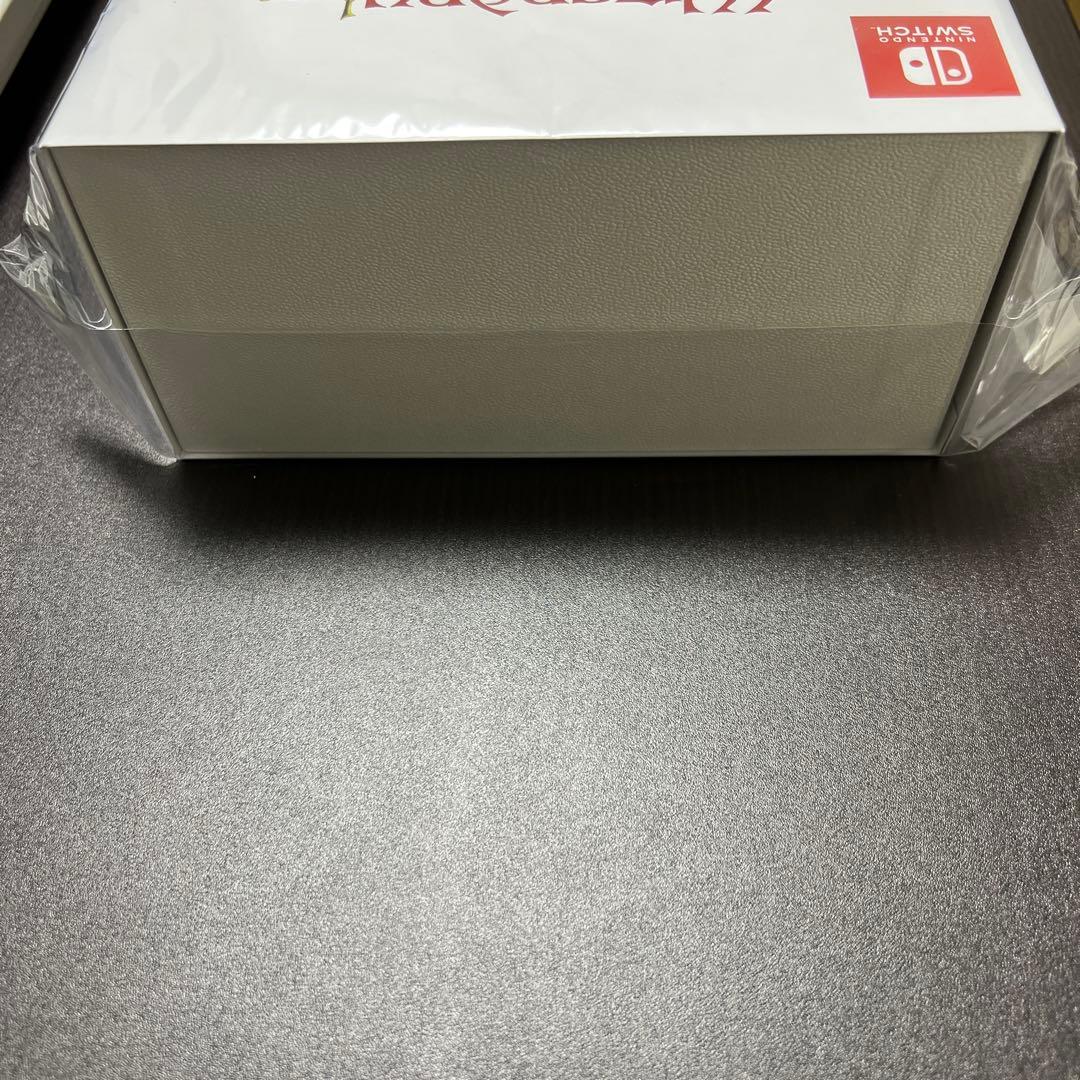 ソフマップ特典付き　特装版　ウィザードリィ外伝　五つの試練switch