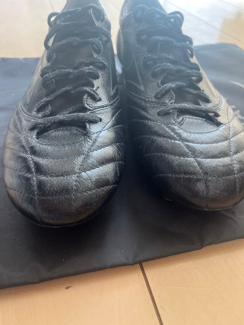 モレリアネオ2β