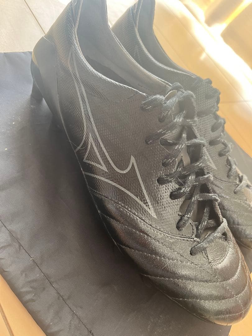 モレリアネオ2β