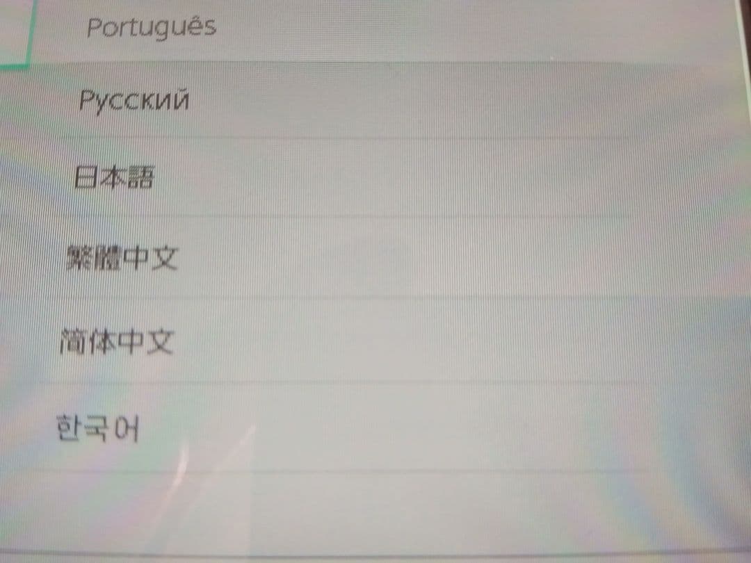 Nintendo Switch Lite　ターコイズ　充電器付き