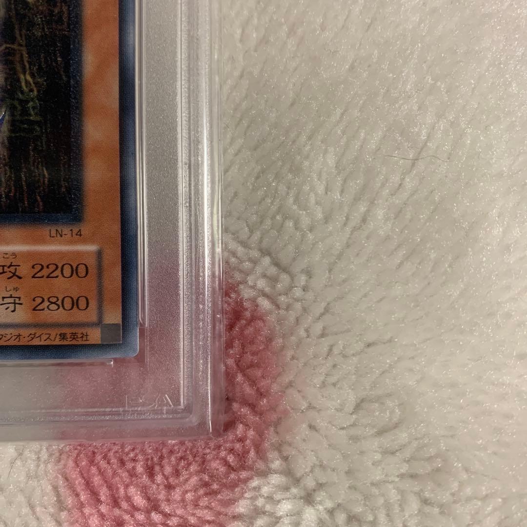 ダーク・ネクロフィアレリーフ　PSA10