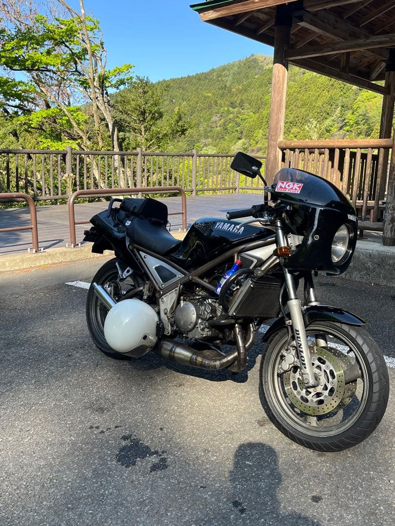 ロックハートカウル ビキニカウル　スクリーン スモークタイプ