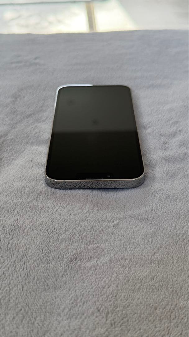 Apple iPhone 13 Pro シルバー