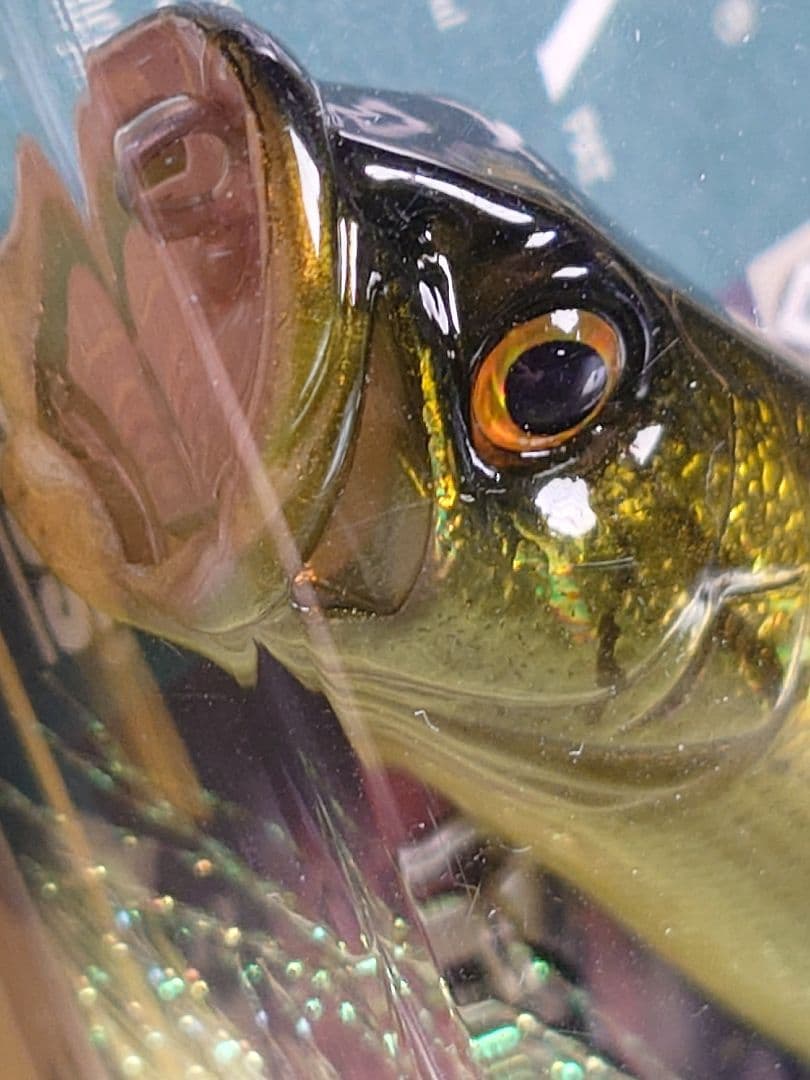 メガバス ito ポップX 限定 カスタムカラー GGバスCB 新品未開封