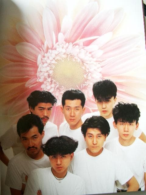 チェッカーズ写真集        Complete the Checkers