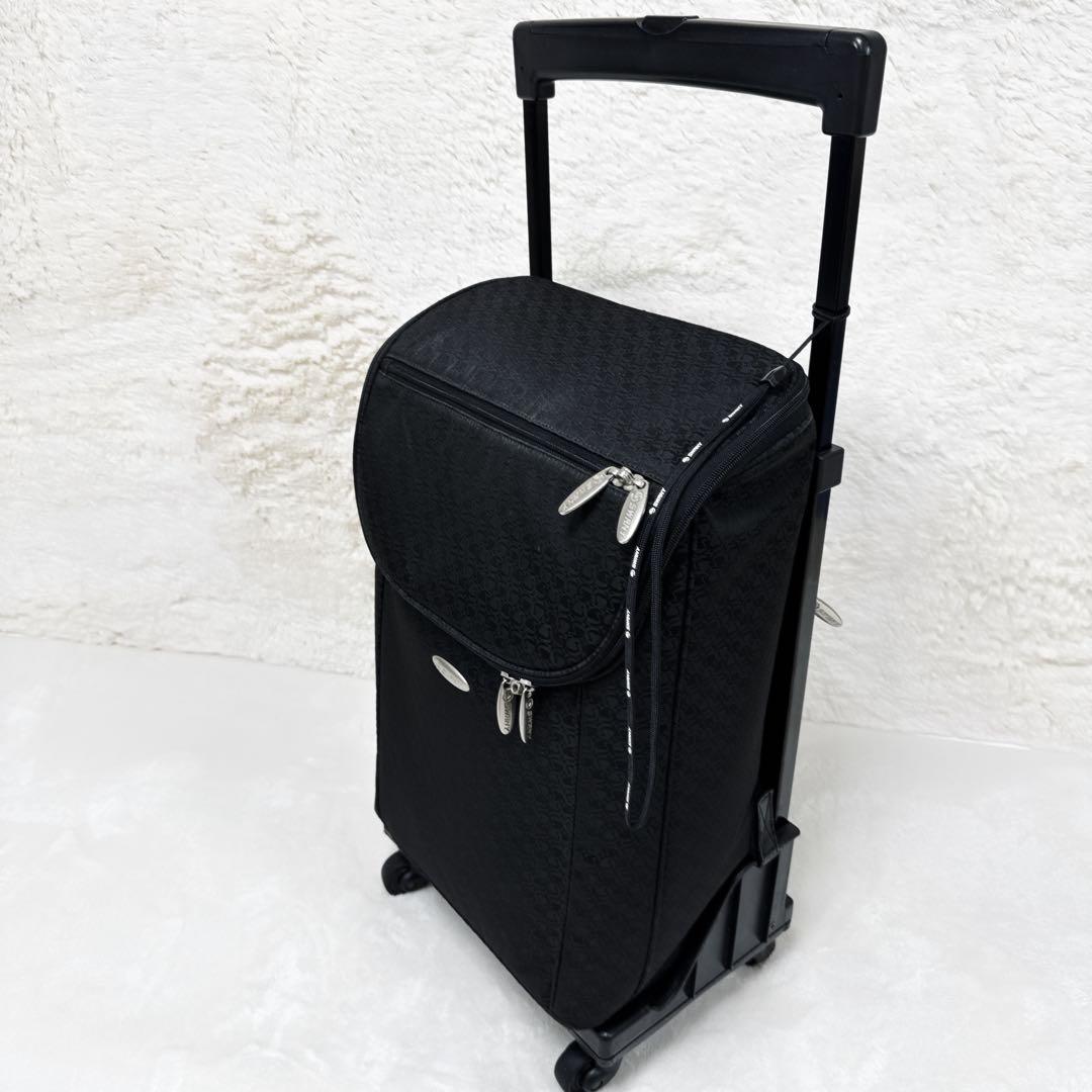 ✨美品✨ SWANY　4輪 大容量 ショッピングカート キャリーカート 総柄 黒