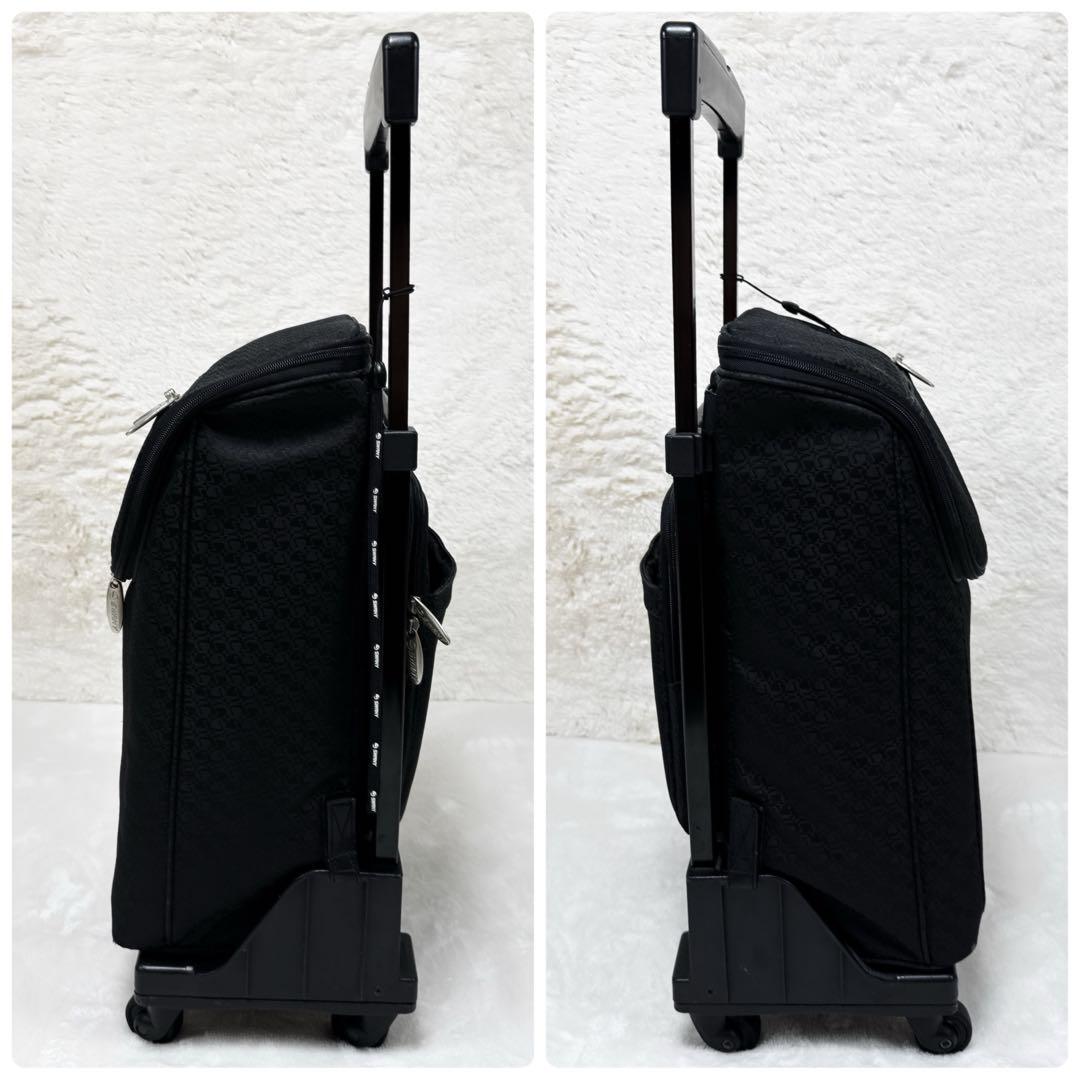 ✨美品✨ SWANY　4輪 大容量 ショッピングカート キャリーカート 総柄 黒