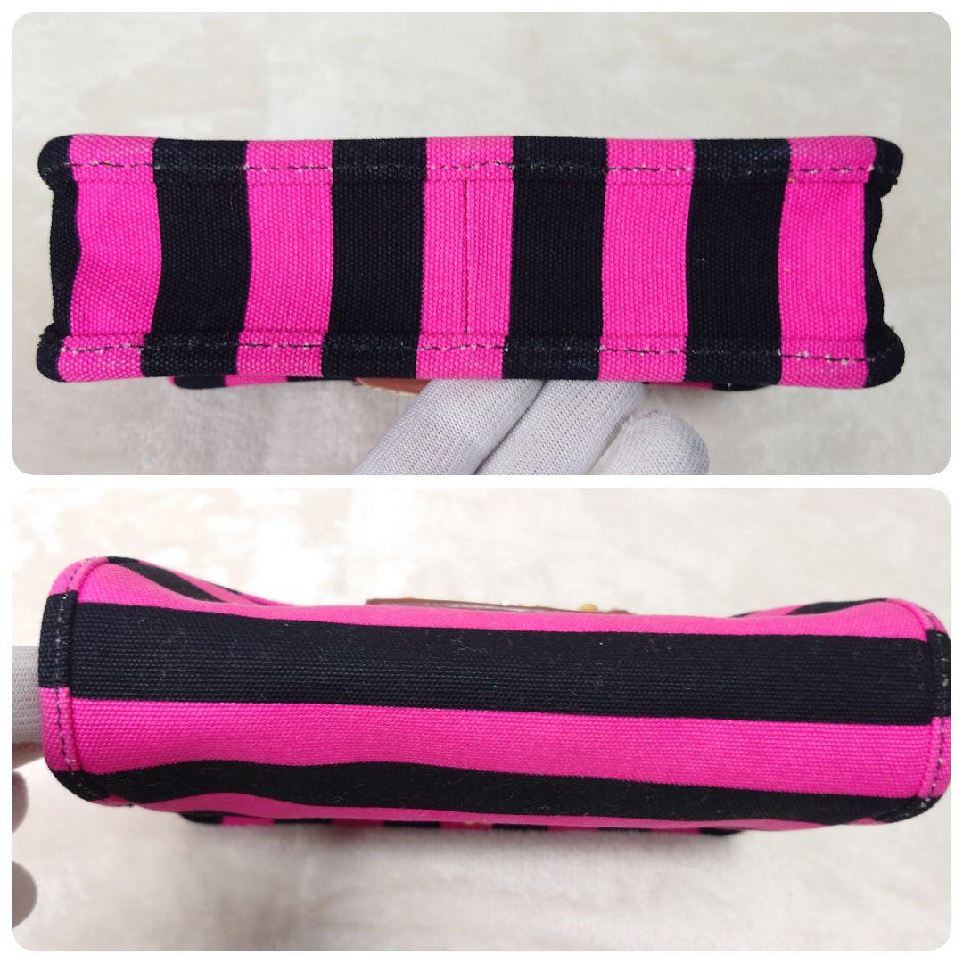 【美品・希少】プラダ カナパ リゲ ショルダーバック ボーダー 三角 2way