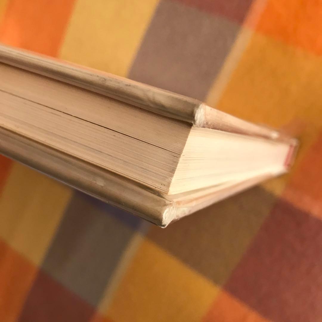 洋書 Paul Nizon Hans Falk Woodstock-Hotel