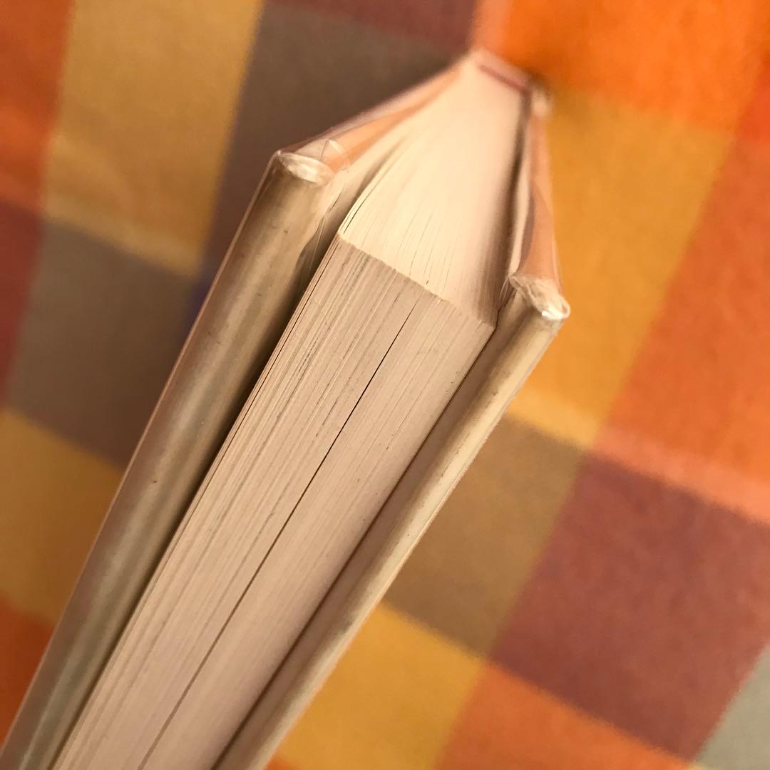 洋書 Paul Nizon Hans Falk Woodstock-Hotel