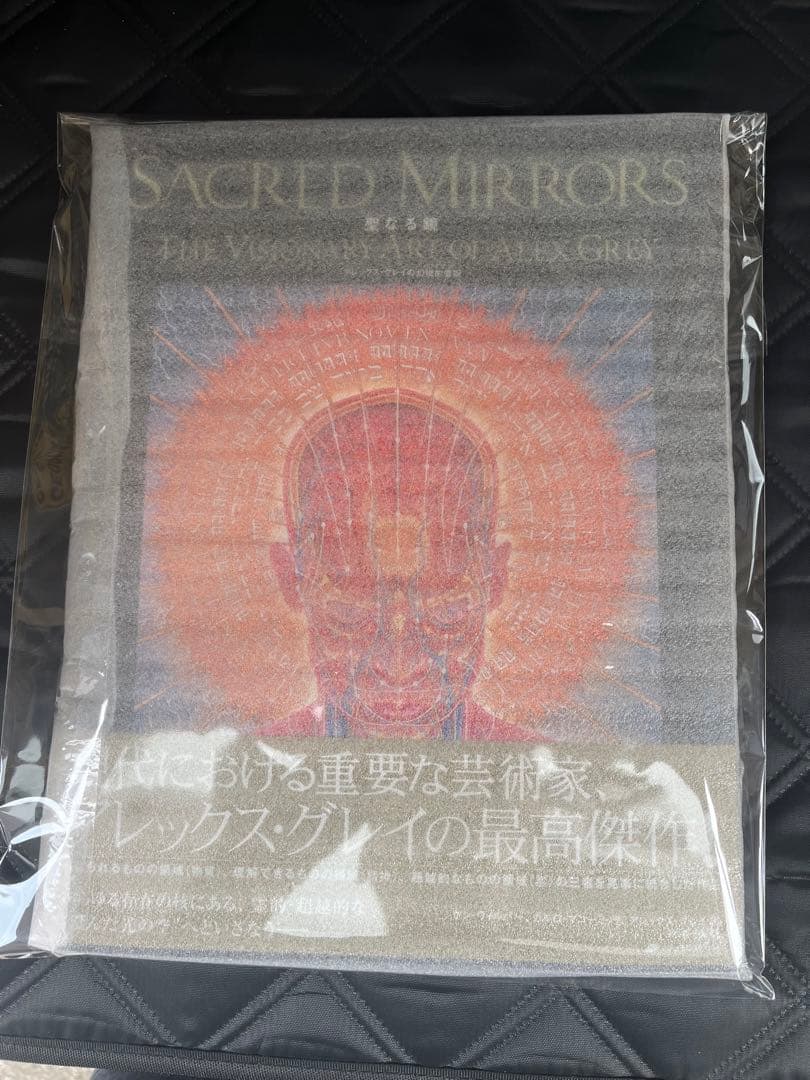 SACRED MIRRORS 聖なる鏡　アレックス・グレイ