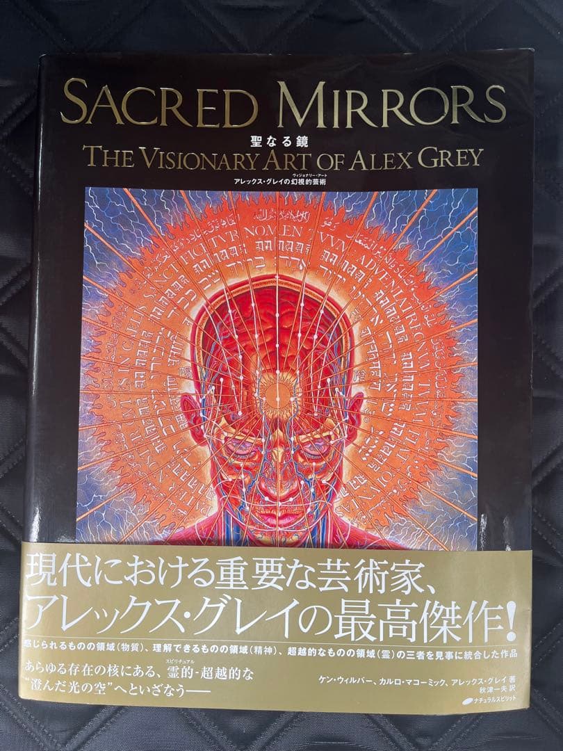 SACRED MIRRORS 聖なる鏡　アレックス・グレイ