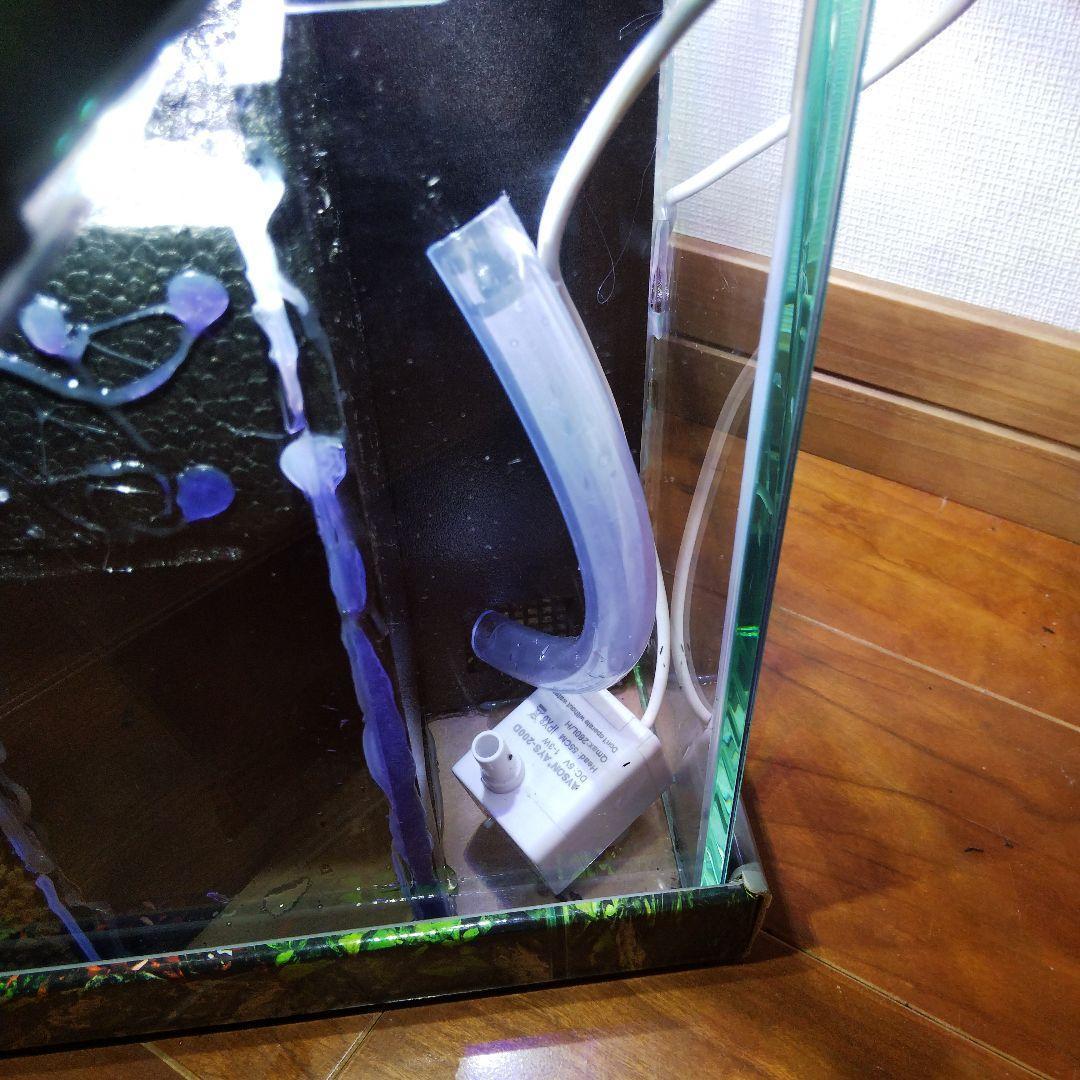 【受注生産】滝のあるアクアテラリウム　イモリウム　苔テラリウム　アクアテラリウム