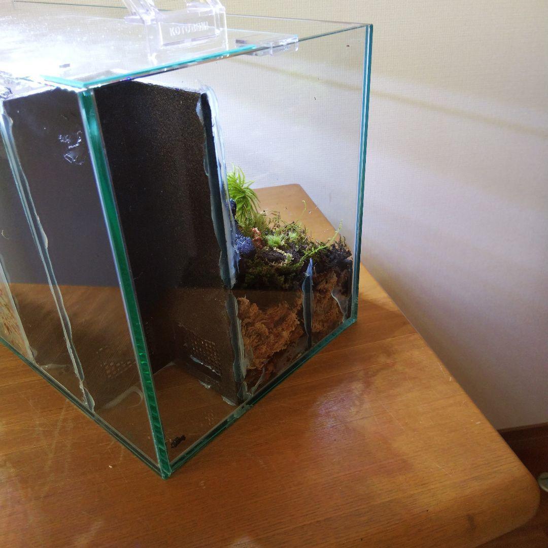 【受注生産】滝のあるアクアテラリウム　イモリウム　苔テラリウム　アクアテラリウム