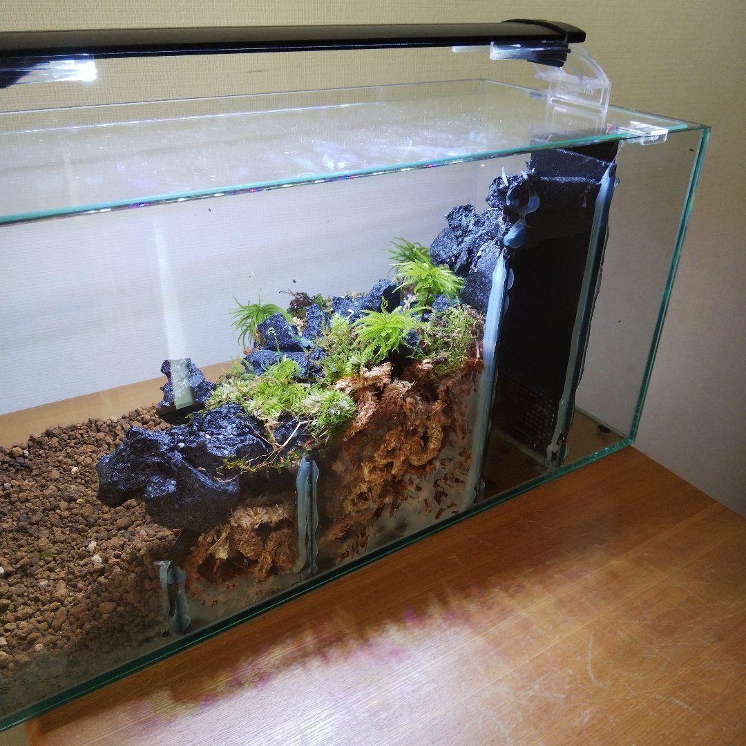 【受注生産】滝のあるアクアテラリウム　イモリウム　苔テラリウム　アクアテラリウム