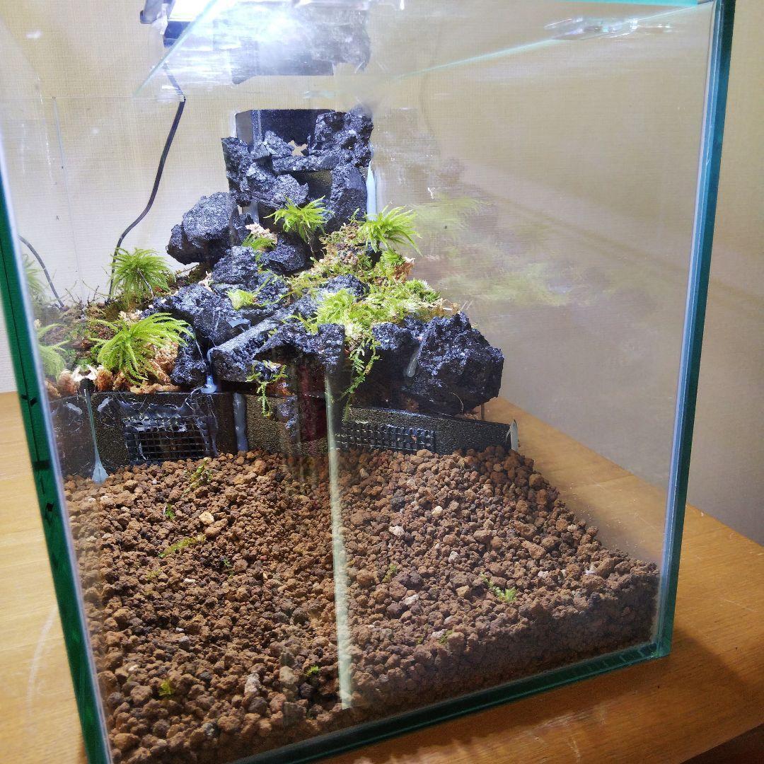【受注生産】滝のあるアクアテラリウム　イモリウム　苔テラリウム　アクアテラリウム
