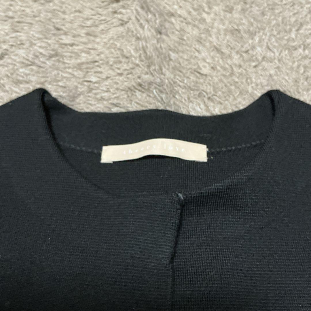 【25AW】完売品 Theory luxe ジレ ベスト ファー