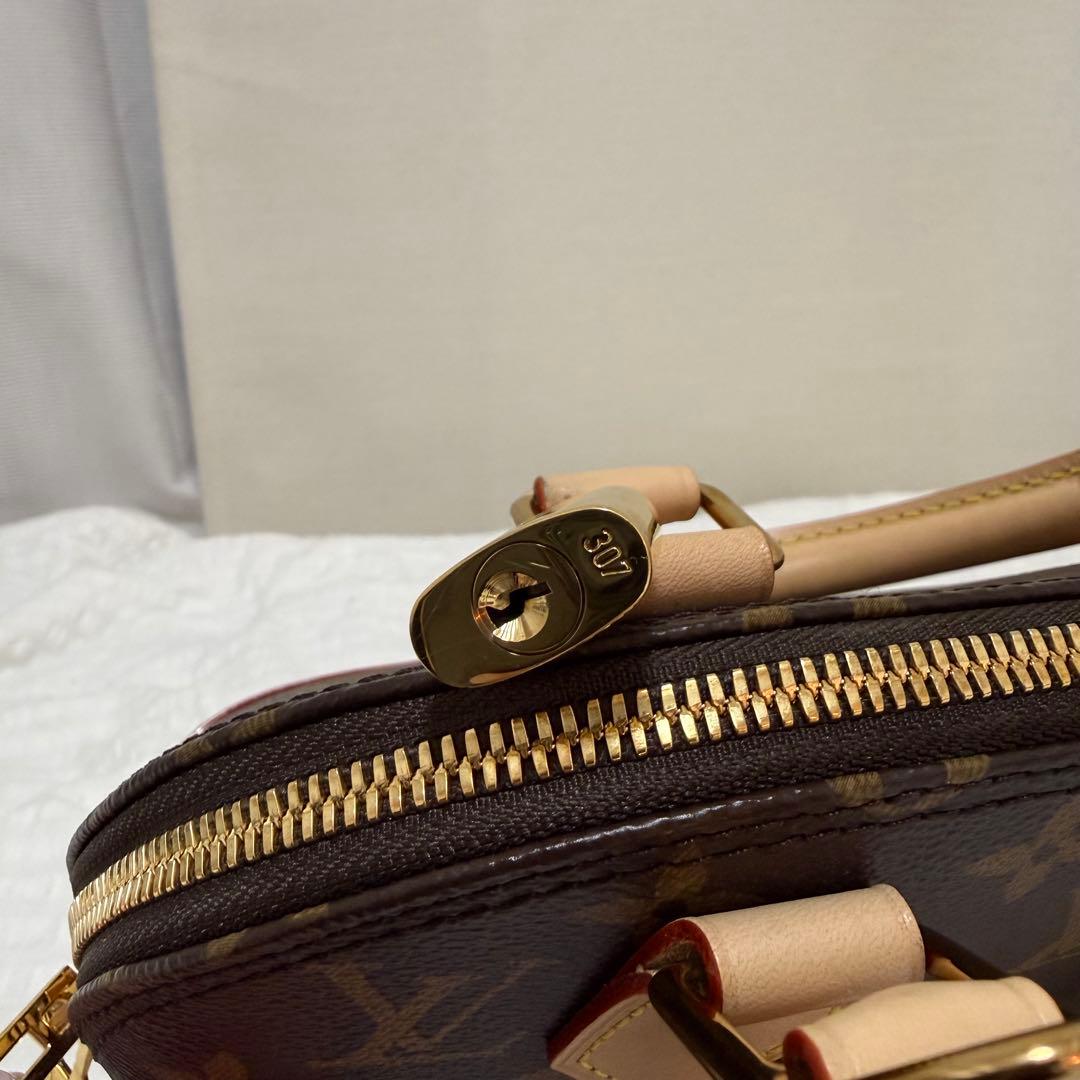 ‼️お値下げ‼️Louis Vuitton アルマBB