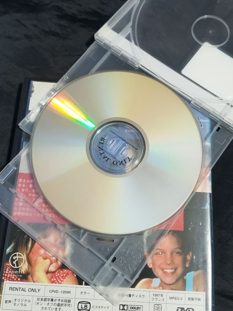 廃盤レア『フランスの思い出』おてんば娘と少年のわんぱくな交流