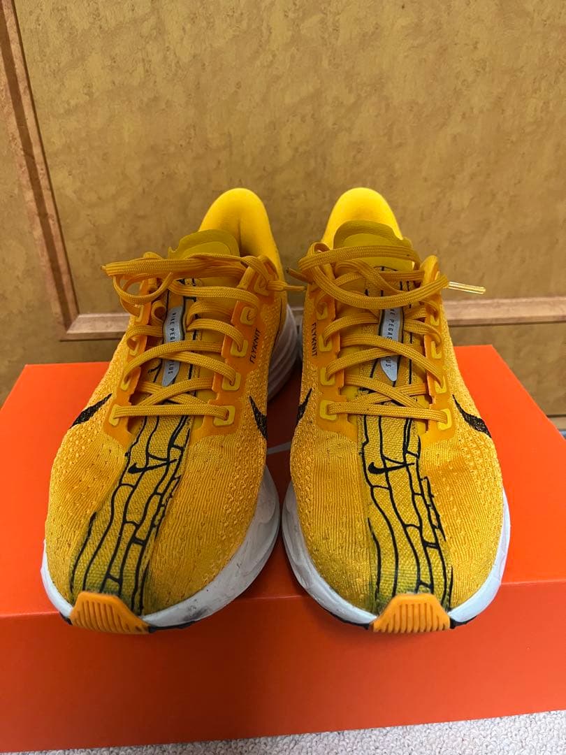 『翌日発送』NIKE ペガサスプラス 26