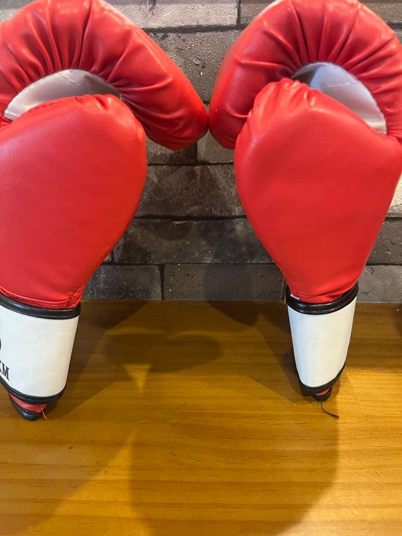 ボクシンググローブセット（REDICE, INOKI X）