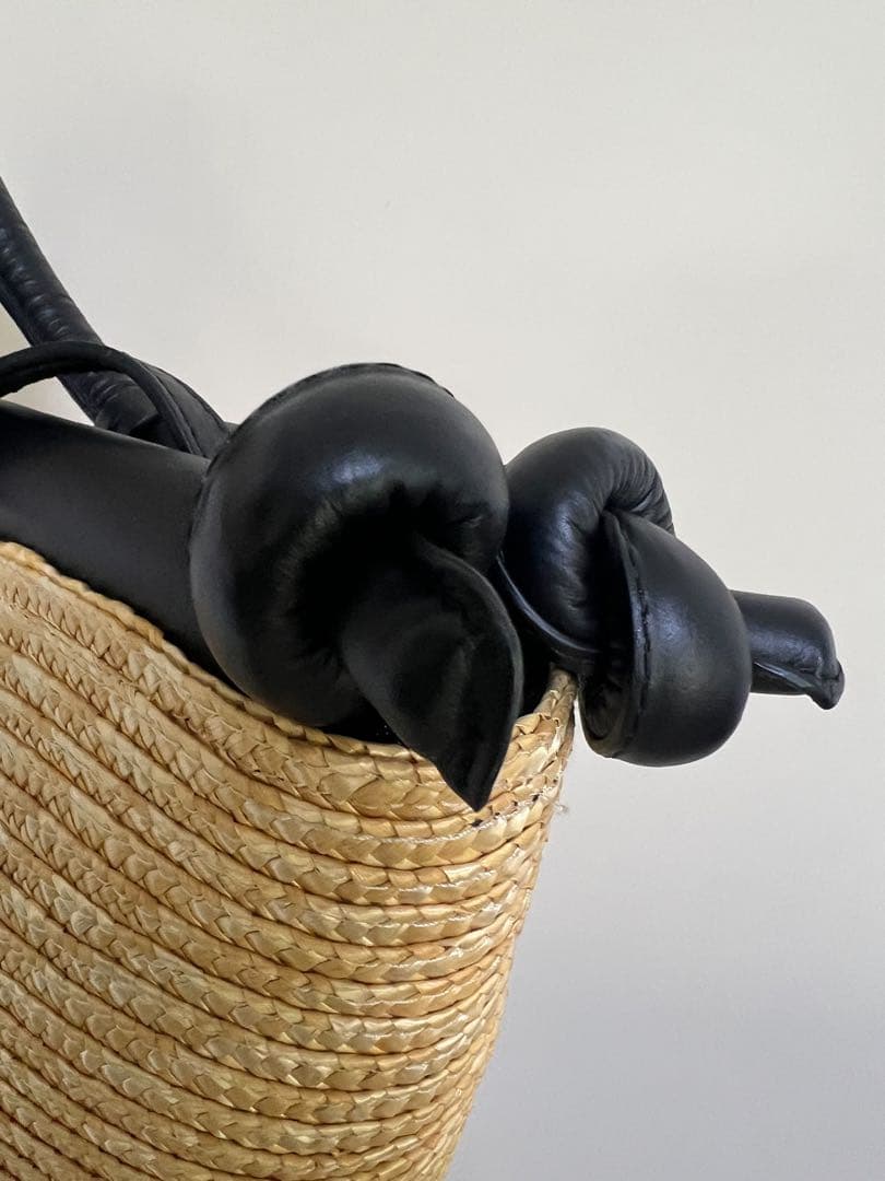 Roberto Pancaniカゴバック