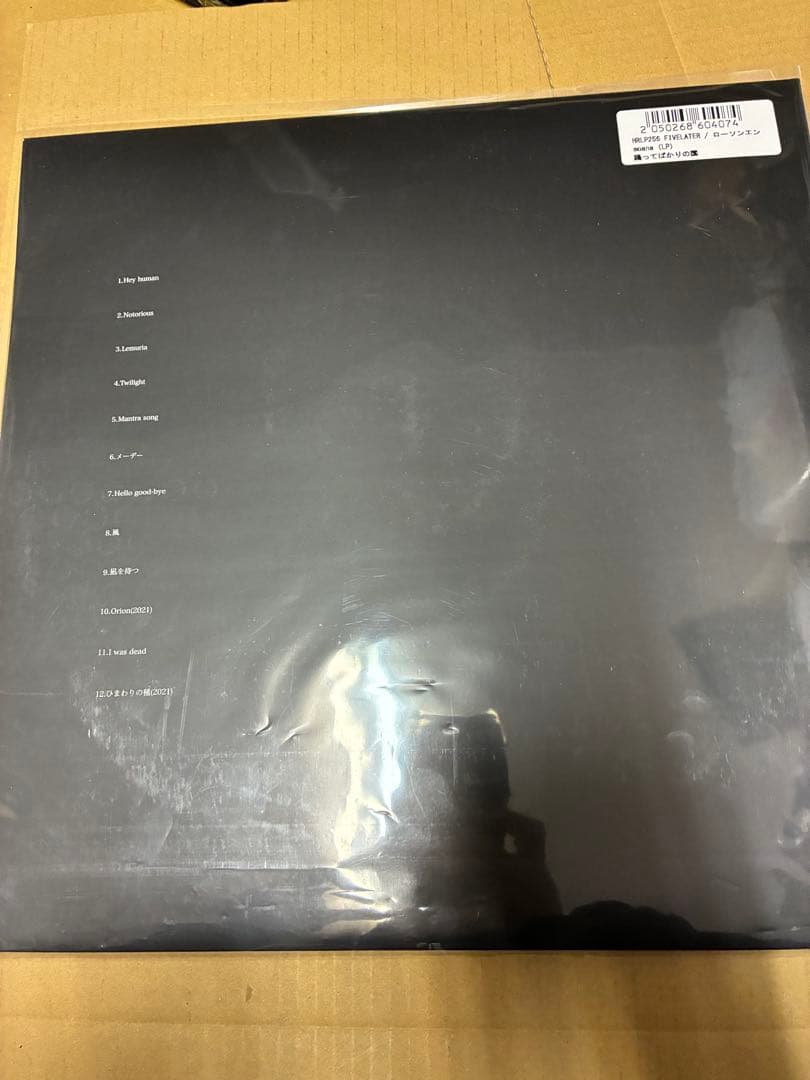 踊ってばかりの国 moana レコード 限定 新品未開封