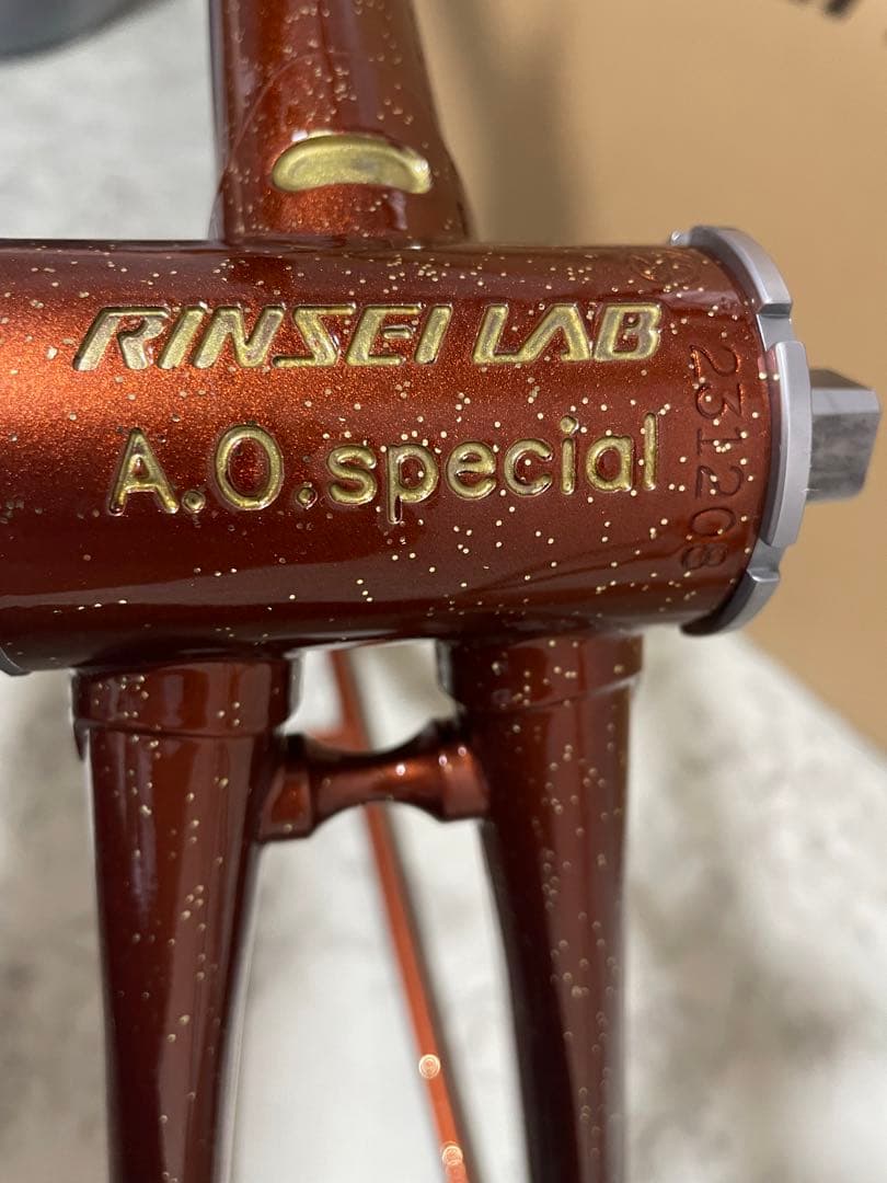 RINSEILAB 鉄フレーム　ピスト　　NJS認定