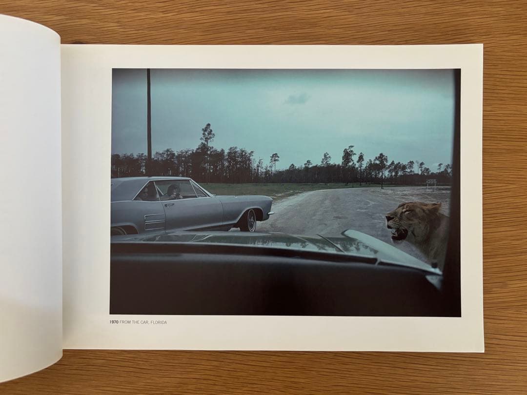 JOEL MEYEROWITZ 『OUT OF THE ORDINARY 』