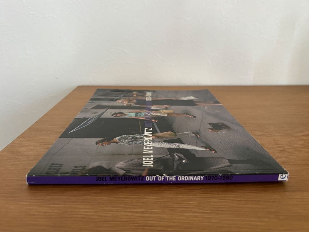JOEL MEYEROWITZ 『OUT OF THE ORDINARY 』