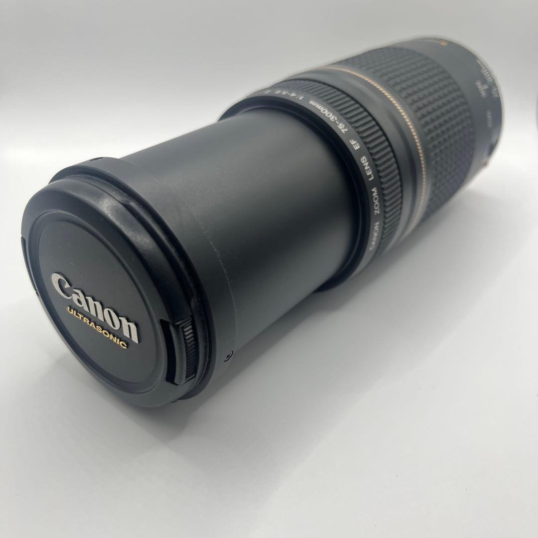 Canon EF 75-300mm ULTRASONICレンズセット