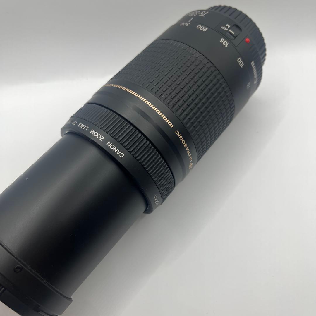 Canon EF 75-300mm ULTRASONICレンズセット