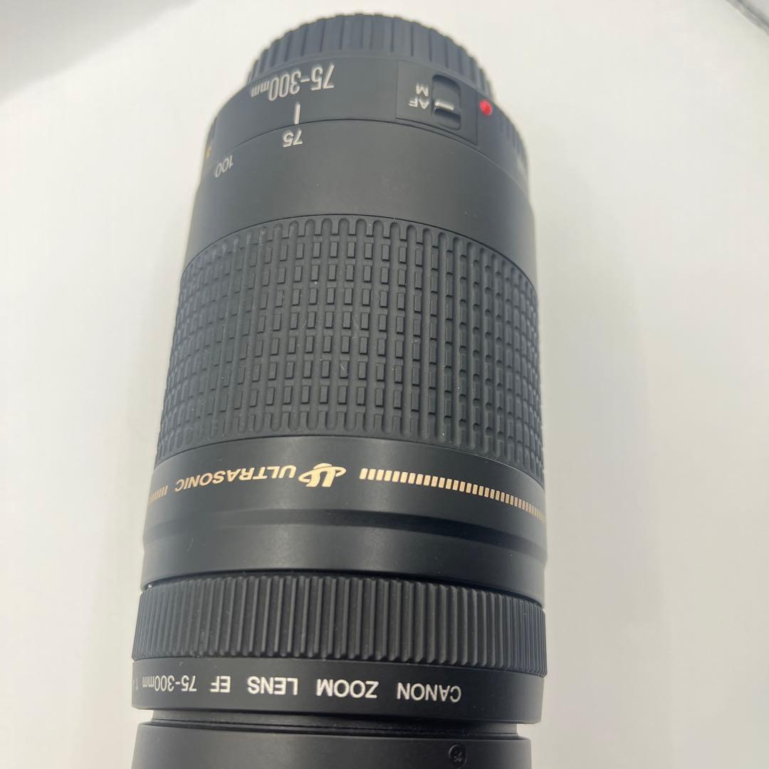 Canon EF 75-300mm ULTRASONICレンズセット