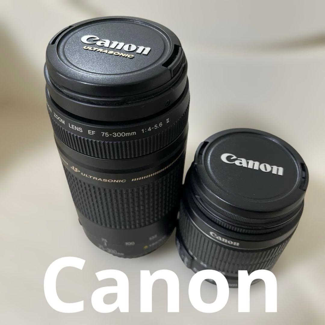 Canon EF 75-300mm ULTRASONICレンズセット