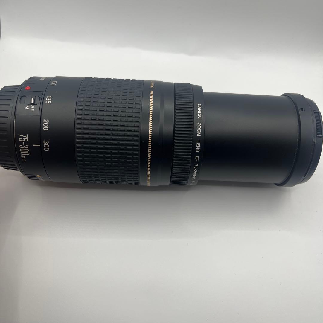 Canon EF 75-300mm ULTRASONICレンズセット