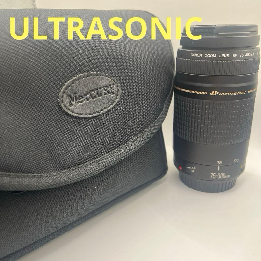 Canon EF 75-300mm ULTRASONICレンズセット