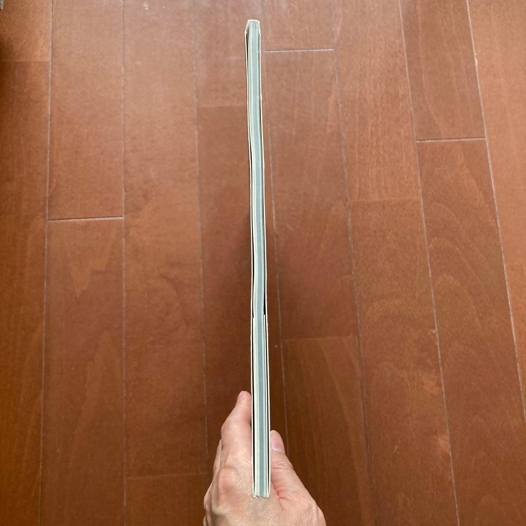 （洋書）サン=テグジュペリ最後の日々