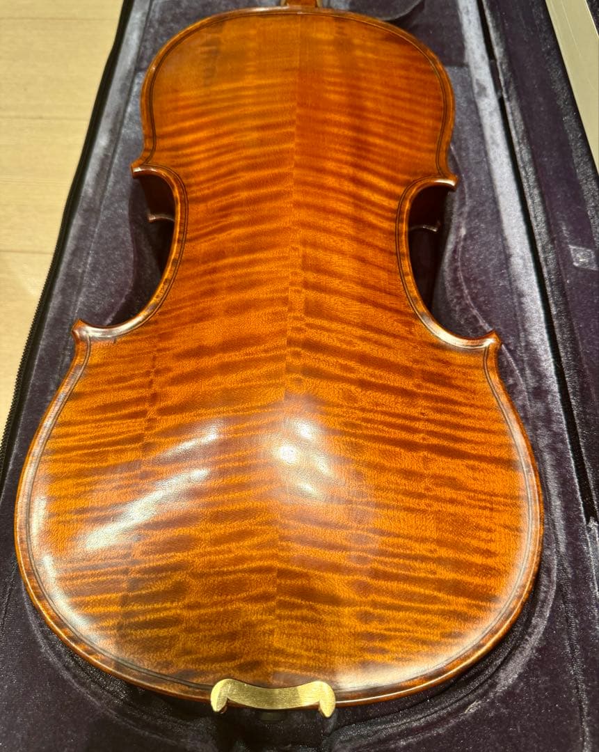 Gliga GEMS 4/4 バイオリンセット