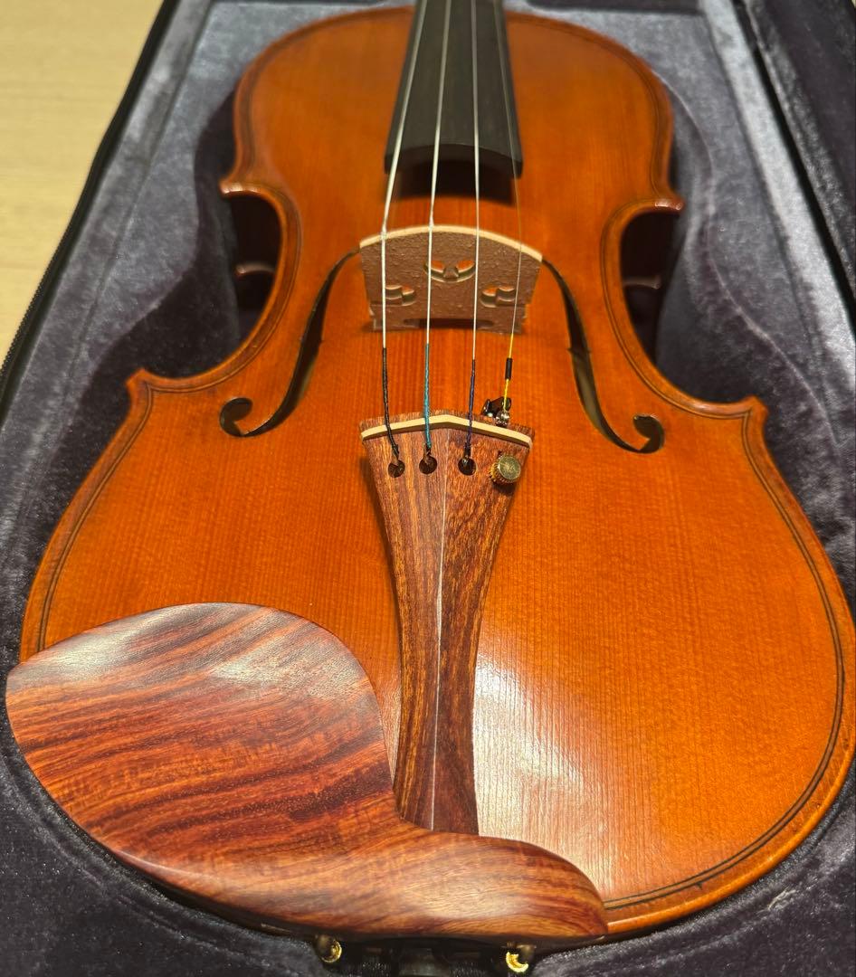 Gliga GEMS 4/4 バイオリンセット