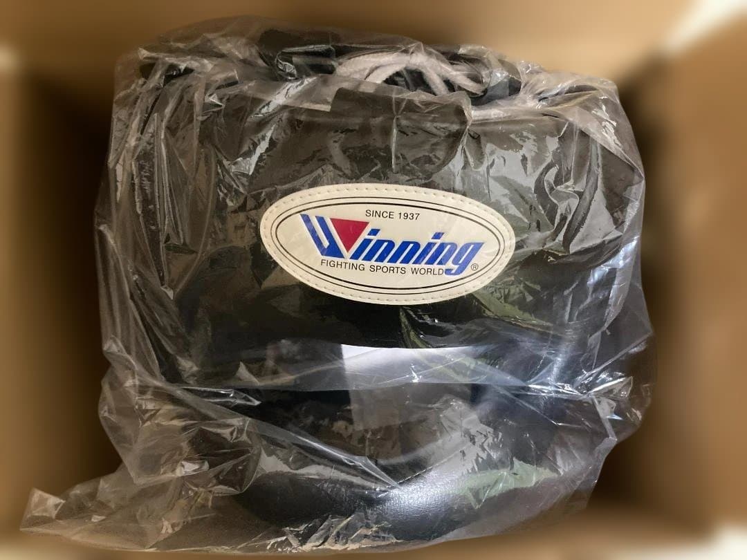 ウイニング（Winning）ヘッドギア・フルフェイス　FG-5000　黒・L