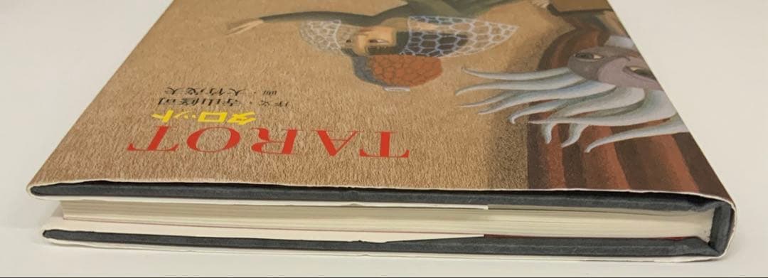 画集「タロット」TAROT 大竹 茂夫 Shigeo Otake