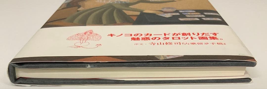 画集「タロット」TAROT 大竹 茂夫 Shigeo Otake