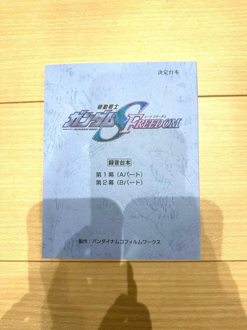 機動戦士ガンダムSEED FREEDOM B Mighty Edition限定