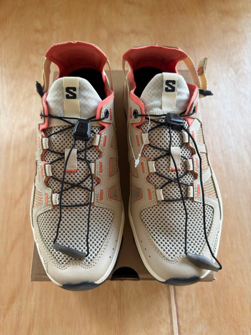 靴 SALOMON TECHAMPHIBIAN 5 24cm