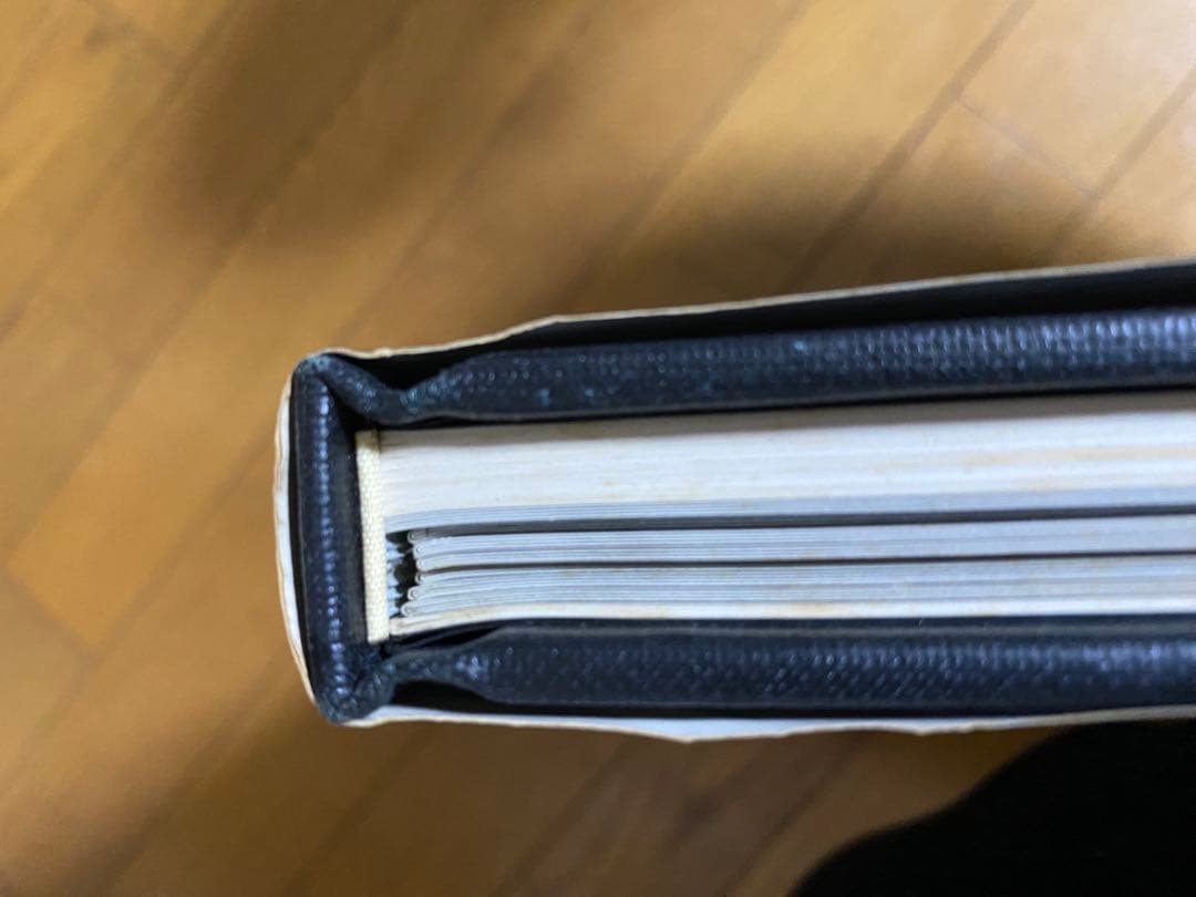 日本刺青芸術 彫芳 第2巻