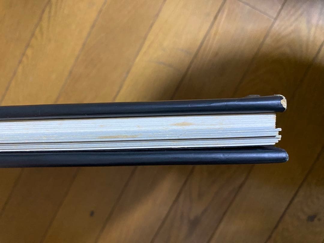 日本刺青芸術 彫芳 第2巻