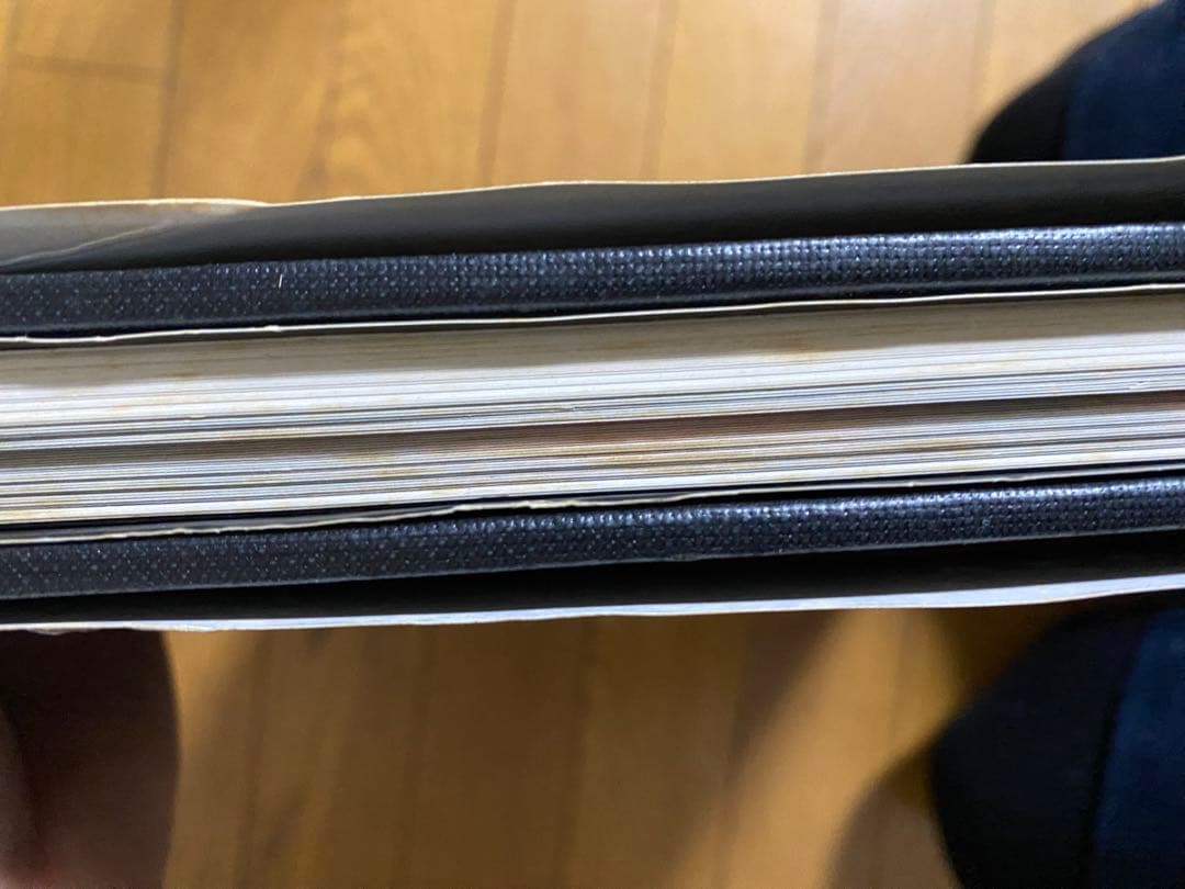 日本刺青芸術 彫芳 第2巻